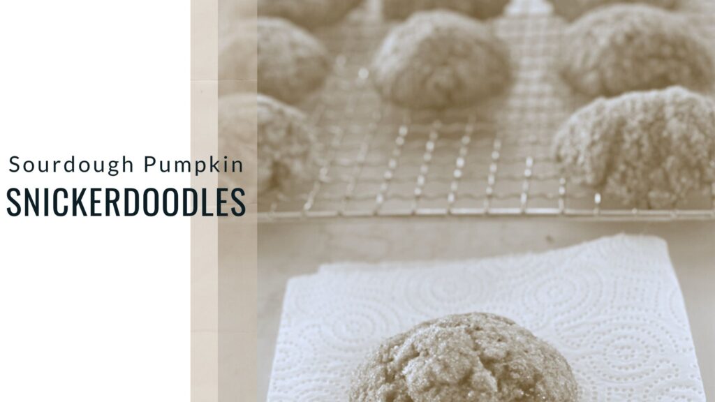 banner image of soft sorudough pumpkin snickerdoodles on cooling rack