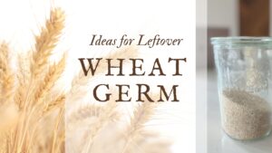 banner image depicting wheat growing in a field next to a photo of wheat germ in a weck glass jar on a counter, image states - ideas for leftover wheat germ